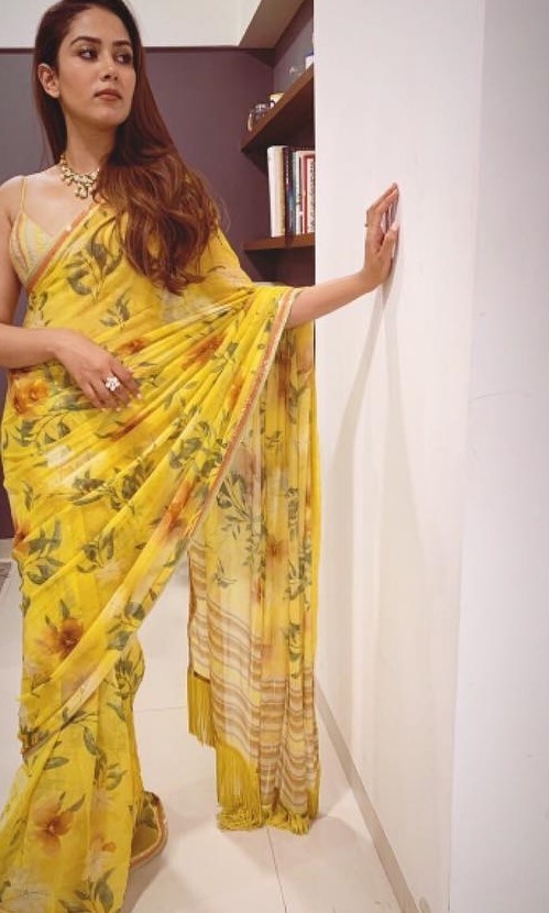 Mira in sari
