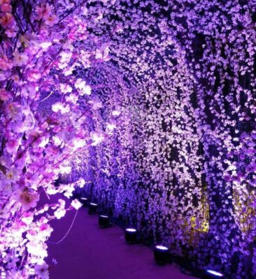 love of flowers: wedding decor